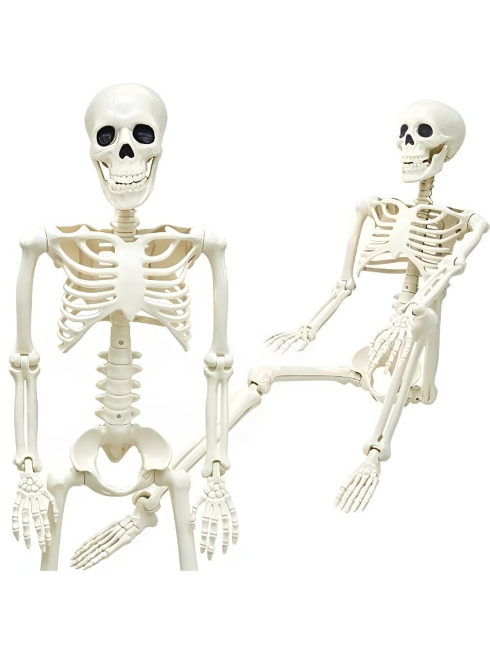 36" Skeleton Halloween Decorations, 3FT Life Size Skeleton Posable Joints